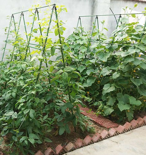 農(nóng)用產(chǎn)品